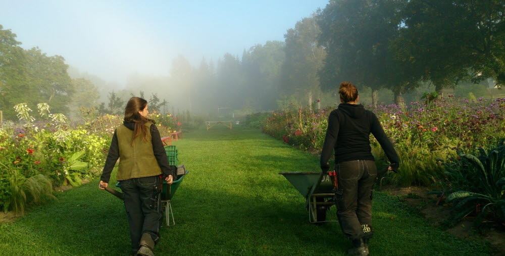Wij trädgårdar. Foto Pernilla Hed 